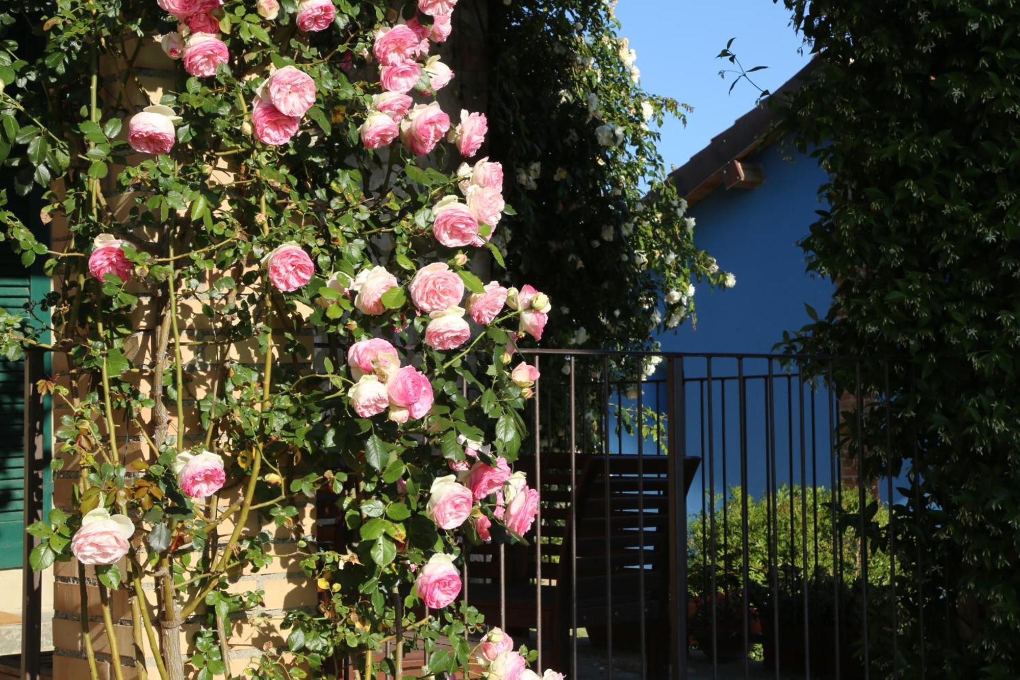 マリアーノ・イン・トスカーナ Casa Mariaヴィラ エクステリア 写真